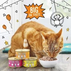 Tiny Tiger Pate Turkey & Giblets Recipe Grain-Free Canned Cat Food & Tiny Tiger Catnip Craze Flavor Filled Cat Treats 13 Tiny Tiger Pate Turkey & Giblets Recipe Grain-Free Canned Cat Food & Tiny Tiger Catnip Craze Flavor Filled Cat Treats -PurePet Bites Shop 303760 PT2. AC SS1800 V1623077864