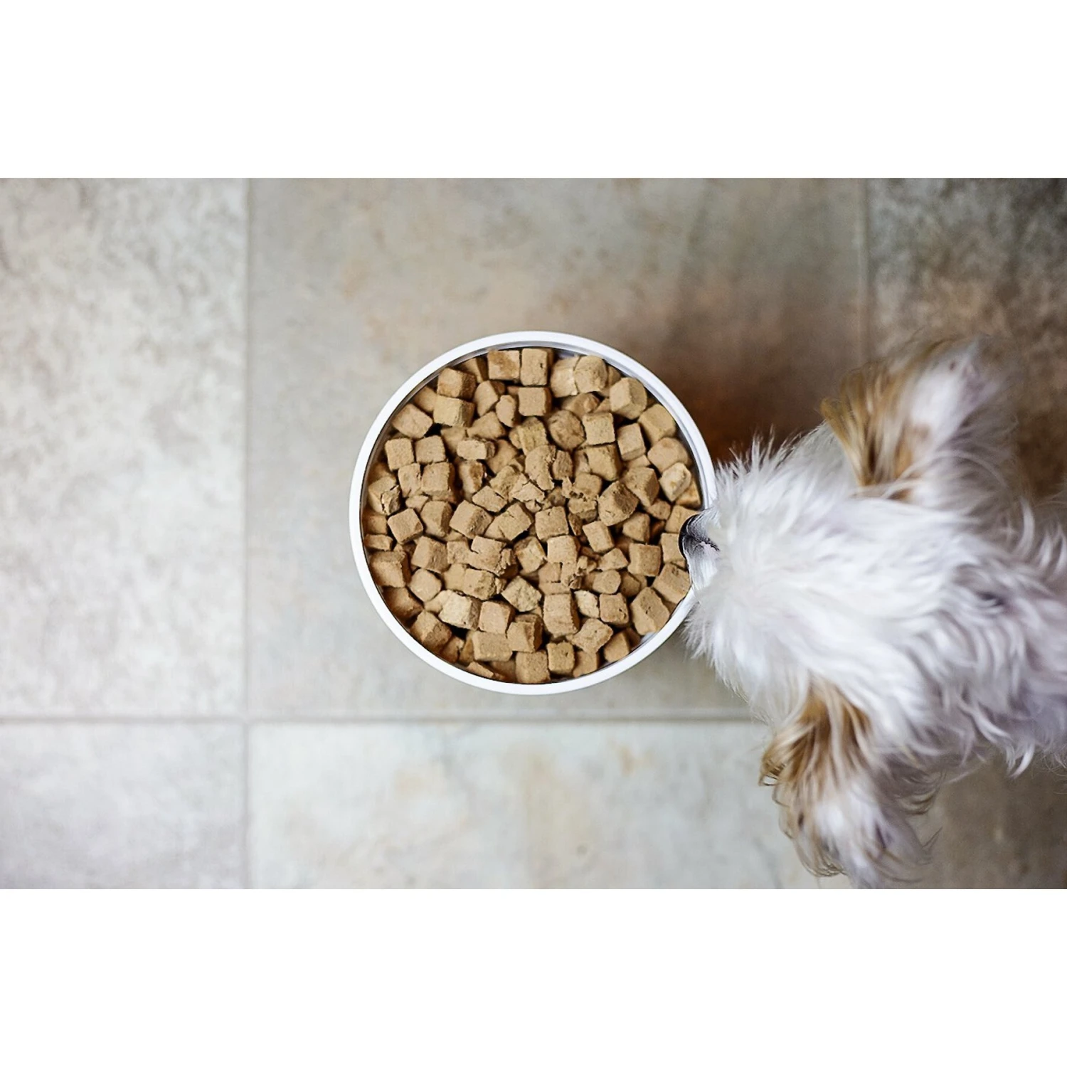 Ketogenic Pet Food Chicken Dry Dog & Cat Food, 18.5-oz Canister 4 Ketogenic Pet Food Chicken Dry Dog & Cat Food, 18.5-oz Canister - Image 2