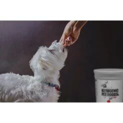 Ketogenic Pet Food Chicken Dry Dog & Cat Food, 18.5-oz Canister 7 Ketogenic Pet Food Chicken Dry Dog & Cat Food, 18.5-oz Canister -PurePet Bites Shop 307667 PT2. AC SS1800 V1623706981