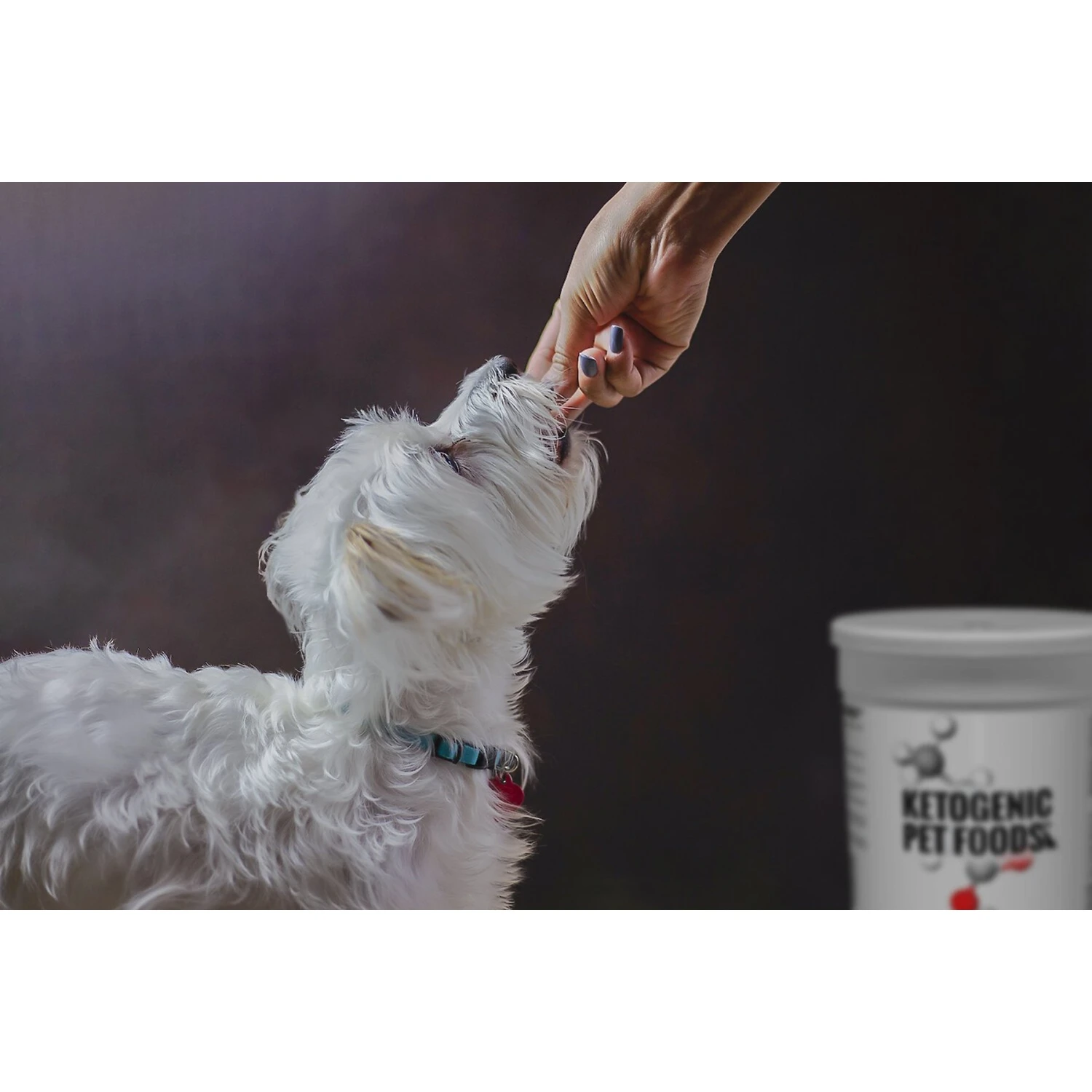 Ketogenic Pet Food Chicken Dry Dog & Cat Food, 18.5-oz Canister 5 Ketogenic Pet Food Chicken Dry Dog & Cat Food, 18.5-oz Canister - Image 3