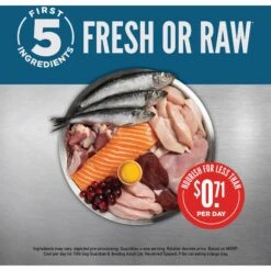 ORIJEN Guardian 8 Free Run Chicken, Wild Caught Salmon & Rabbit Adult Grain-Free Dry Cat Food -PurePet Bites Shop 311078 PT3. AC SS1800 V1689693080