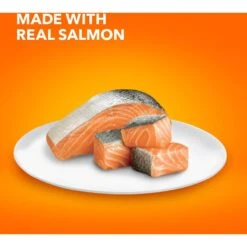 Iams ProActive Health Adult Indoor Weight & Hairball Care With Salmon Dry Cat Food 14 Iams ProActive Health Adult Indoor Weight & Hairball Care With Salmon Dry Cat Food -PurePet Bites Shop 311438 PT3. AC SS1800 V1677256424