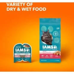 Iams ProActive Health Adult Indoor Weight & Hairball Care With Salmon Dry Cat Food 19 Iams ProActive Health Adult Indoor Weight & Hairball Care With Salmon Dry Cat Food -PurePet Bites Shop 311438 PT8. AC SS1800 V1677256392