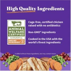 Halo Holistic Kitten Food Grain-Free Cage-Free Chicken Recipe Complete Digestive Health Dry Cat Food -PurePet Bites Shop 311459 PT6. AC SS1800 V1681834890
