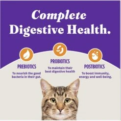 Halo Holistic Kitten Food Grain-Free Cage-Free Chicken Recipe Complete Digestive Health Dry Cat Food -PurePet Bites Shop 311459 PT7. AC SS1800 V1681834973