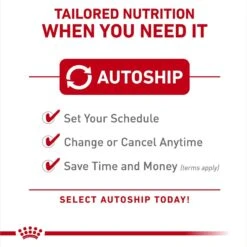 Royal Canin Veterinary Diet Adult Weight Control Loaf In Sauce Canned Cat Food -PurePet Bites Shop 313398 PT8. AC SS1800 V1694200868