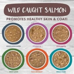 Weruva Classic Stews, Spoil Me Stewpid! Variety Pack Wet Cat Food 11 Weruva Classic Stews, Spoil Me Stewpid! Variety Pack Wet Cat Food -PurePet Bites Shop 315729 PT2. AC SS1800 V1672254909