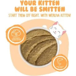 Weruva Tuna & Salmon Formula In A Hydrating Puree Wet Cat Food -PurePet Bites Shop 315749 PT3. AC SS1800 V1639612293