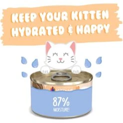 Weruva Tuna & Salmon Formula In A Hydrating Puree Wet Cat Food -PurePet Bites Shop 315749 PT4. AC SS1800 V1639607557