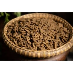 Regal Pet Foods Adult Cat Recipe Chicken & Whitefish Meals Whole Grains Dry Cat Food -PurePet Bites Shop 316480 PT3. AC SS1800 V1630335448