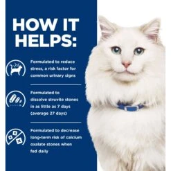 Hill's Prescription Diet C/d Multicare Stress Urinary Care With Ocean Fish Dry Cat Food -PurePet Bites Shop 316650 PT3. AC SS1800 V1668616081