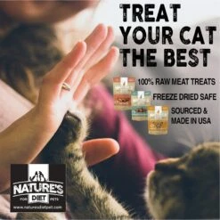 Nature's Diet Salmon Raw Freeze-Dried Cat Treats, 1-oz Pouch -PurePet Bites Shop 318173 PT4. AC SS1800 V1628807789