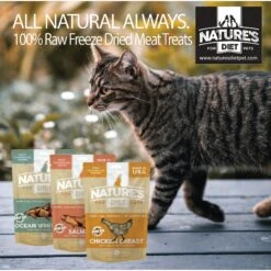 Nature's Diet Salmon Raw Freeze-Dried Cat Treats, 1-oz Pouch -PurePet Bites Shop 318173 PT5. AC SS1800 V1628802997
