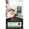 Purina Pro Plan LiveClear Kitten Chicken & Rice Formula Dry Cat Food 2 Purina Pro Plan LiveClear Kitten Chicken & Rice Formula Dry Cat Food -PurePet Bites Shop 328613 MAIN. AC SS1800 V1631058972