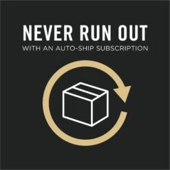 Purina Pro Plan LiveClear Kitten Chicken & Rice Formula Dry Cat Food -PurePet Bites Shop 328613 PT8. AC SS1800 V1631058998