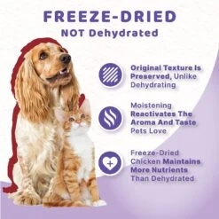 Halo Liv-A-Littles Beef Liver Protein Freeze-Dried Dog & Cat Treats, 3-oz Bag -PurePet Bites Shop 329479 PT4. AC SS1800 V1631602879