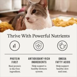 American Journey Senior Pate Chicken Recipe Canned Cat Food, 3-oz Can, Case Of 24 -PurePet Bites Shop 330851 PT5. AC SS1800 V1691614423