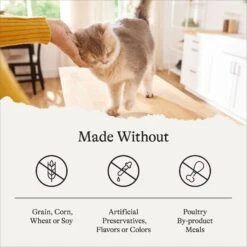 American Journey Senior Pate Chicken Recipe Canned Cat Food, 3-oz Can, Case Of 24 -PurePet Bites Shop 330851 PT7. AC SS1800 V1691614425