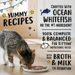 Tiny Tiger, Kitten Classic, Ocean Whitefish Pate Recipe, Canned Cat Food -PurePet Bites Shop 330994 PT3. AC SS1800 V1687283980
