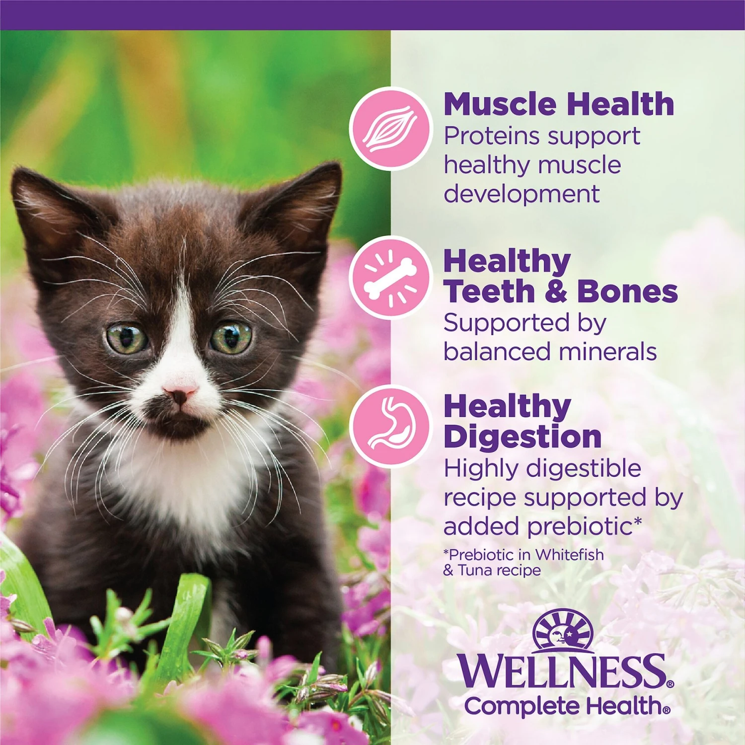 Wellness Complete Health Kitten Variety Pack Grain-Free Canned Cat Food, 3-oz, Case Of 12 7 Wellness Complete Health Kitten Variety Pack Grain-Free Canned Cat Food, 3-oz, Case Of 12 - Image 5