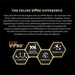 VICTOR Hi-Pro Plus Active Cat & Kitten Ocean Fish Recipe Dry Cat Food -PurePet Bites Shop 333759 PT3. AC SS1800 V1677690234