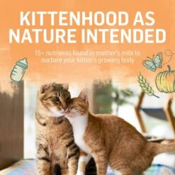 Purina Beyond Chicken & Oatmeal Recipe Dry Kitten Food -PurePet Bites Shop 336842 PT5. AC SS1800 V1700156624