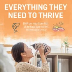 Purina Beyond Chicken & Oatmeal Recipe Dry Kitten Food -PurePet Bites Shop 336842 PT6. AC SS1800 V1700156424