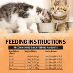 Purina Beyond Chicken & Oatmeal Recipe Dry Kitten Food -PurePet Bites Shop 336842 PT7. AC SS1800 V1700159310