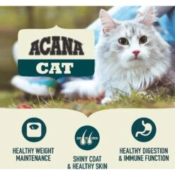 ACANA First Feast High-Protein Kitten Dry Cat Food, 4-lb Bag & Frisco Multi-Cat Unscented Clumping Clay Cat Litter -PurePet Bites Shop 338643 PT4. AC SS1800 V1635899904