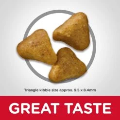 Hill's Science Diet Adult 7+ Senior Vitality Chicken Recipe Dry Cat Food & Hill's Science Diet Adult Urinary Hairball Control Dry Cat Food -PurePet Bites Shop 338687 PT7. AC SS1800 V1635868317