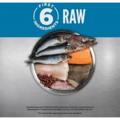 ORIJEN Six Fish Grain-Free Dry Cat Food & ORIJEN Six Fish Grain-Free Freeze-Dried Cat Treats, 1.25-oz Bag -PurePet Bites Shop 338705 PT4. AC SS1800 V1689685841