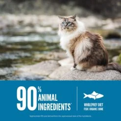 ORIJEN Six Fish Grain-Free Dry Cat Food & ORIJEN Six Fish Grain-Free Freeze-Dried Cat Treats, 1.25-oz Bag -PurePet Bites Shop 338705 PT5. AC SS1800 V1689685840