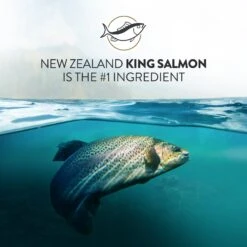 Addiction Grain-Free Salmon Bleu Dry Cat Food 14 Addiction Grain-Free Salmon Bleu Dry Cat Food -PurePet Bites Shop 342113 PT3. AC SS1800 V1635794791