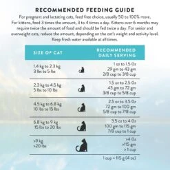 Addiction Grain-Free Salmon Bleu Dry Cat Food 19 Addiction Grain-Free Salmon Bleu Dry Cat Food -PurePet Bites Shop 342113 PT8. AC SS1800 V1635794195