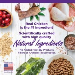 Wellness Complete Health Kitten Deboned Chicken, Chicken Meal & Rice Dry Cat Food, 5-lb Bag 13 Wellness Complete Health Kitten Deboned Chicken, Chicken Meal & Rice Dry Cat Food, 5-lb Bag -PurePet Bites Shop 347667 PT2. AC SS1800 V1638459111