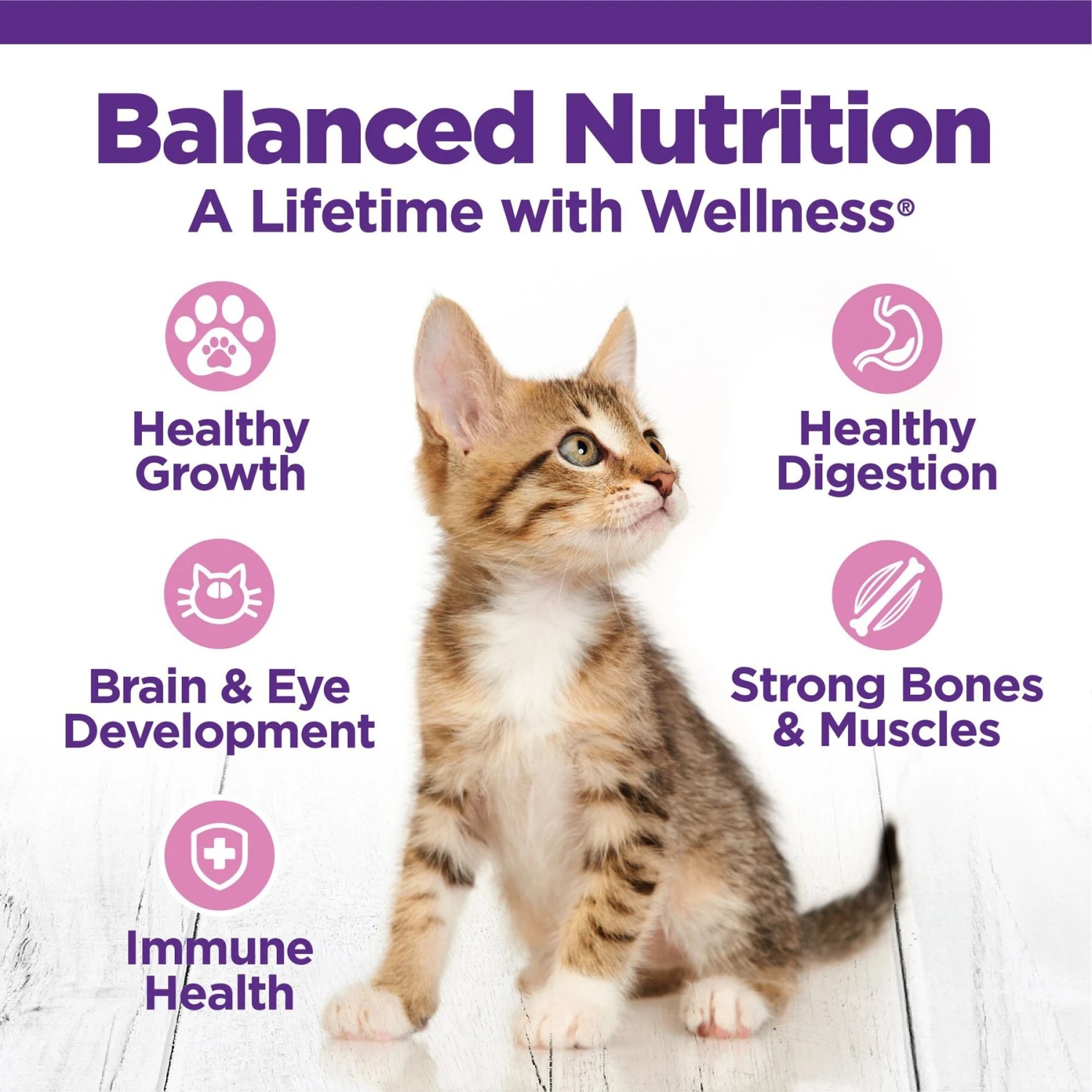 Wellness Complete Health Kitten Deboned Chicken, Chicken Meal & Rice Dry Cat Food, 5-lb Bag 6 Wellness Complete Health Kitten Deboned Chicken, Chicken Meal & Rice Dry Cat Food, 5-lb Bag - Image 4