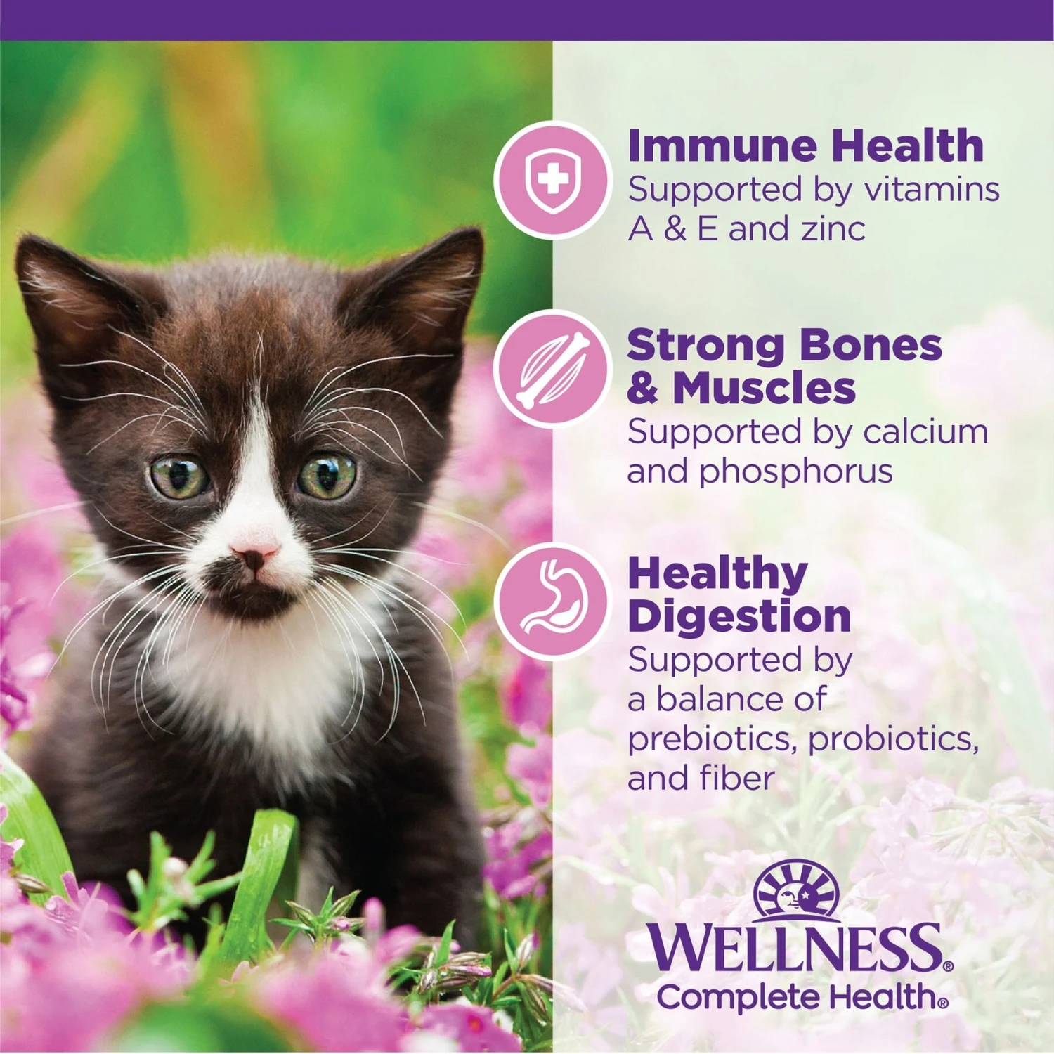 Wellness Complete Health Kitten Deboned Chicken, Chicken Meal & Rice Dry Cat Food, 5-lb Bag 7 Wellness Complete Health Kitten Deboned Chicken, Chicken Meal & Rice Dry Cat Food, 5-lb Bag - Image 5