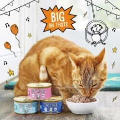 Tiny Tiger, Meaty Tenders Cat Treats, Salmon Recipe & Tiny Tiger Pate Salmon Recipe Grain-Free Canned Cat Food -PurePet Bites Shop 347708 PT7. AC SS1800 V1639545684