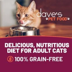 Dave's Pet Food Minced Chicken Dinner In Gravy Recipe Wet Cat Food, 2.8-oz Can, Case Of 24 -PurePet Bites Shop 352429 PT1. AC SS1800 V1640271985