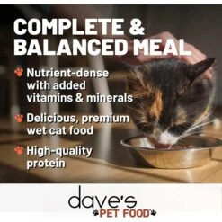 Dave's Pet Food Shredded Chicken & Lamb Dinner In Gravy Recipe Wet Cat Food, 2.8-oz Can, Case Of 24 -PurePet Bites Shop 352435 PT2. AC SS1800 V1640271981
