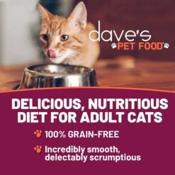 Dave's Pet Food Shredded Chicken & Shrimp Dinner In Gravy Recipe Wet Cat Food, 2.8-oz Can, Case Of 24 -PurePet Bites Shop 352441 PT1. AC SS1800 V1640271693
