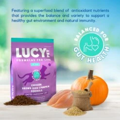 Lucy Pet Products Chicken, Brown Rice & Pumpkin Limited Ingredient Diet Cat Food 11 Lucy Pet Products Chicken, Brown Rice & Pumpkin Limited Ingredient Diet Cat Food -PurePet Bites Shop 353161 PT2. AC SS1800 V1641580616