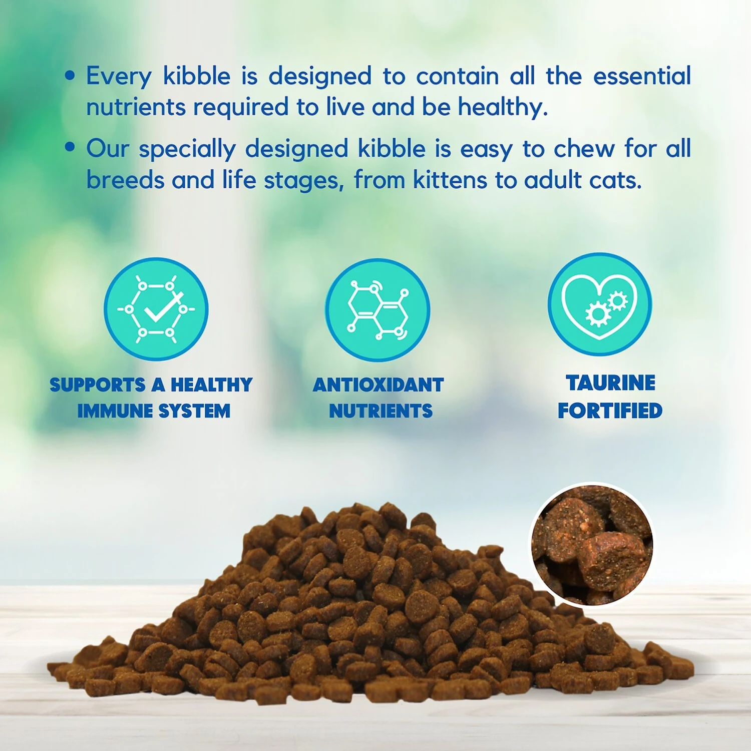 Lucy Pet Products Chicken, Brown Rice & Pumpkin Limited Ingredient Diet Cat Food 6 Lucy Pet Products Chicken, Brown Rice & Pumpkin Limited Ingredient Diet Cat Food - Image 4