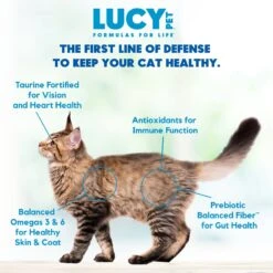 Lucy Pet Products Chicken, Brown Rice & Pumpkin Limited Ingredient Diet Cat Food 13 Lucy Pet Products Chicken, Brown Rice & Pumpkin Limited Ingredient Diet Cat Food -PurePet Bites Shop 353161 PT4. AC SS1800 V1641608504