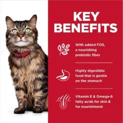 Hill's Science Diet Adult Sensitive Stomach & Sensitive Skin Chicken & Rice Recipe Dry Cat Food & Hill's Science Diet Adult Urinary Hairball Control Savory Chicken Entree Canned Cat Food -PurePet Bites Shop 353412 PT4. AC SS1800 V1639535205
