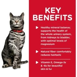 Hill's Science Diet Adult Sensitive Stomach & Sensitive Skin Chicken & Rice Recipe Dry Cat Food & Hill's Science Diet Adult Urinary Hairball Control Savory Chicken Entree Canned Cat Food -PurePet Bites Shop 353412 PT8. AC SS1800 V1639543884
