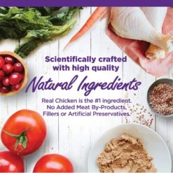 Wellness Complete Health Natural Grain-Free Deboned Chicken & Chicken Meal Dry Kitten Food & Wellness Complete Health Kitten Variety Pack Grain-Free Canned Cat Food, 3-oz, Case Of 12 -PurePet Bites Shop 353443 PT6. AC SS1800 V1639543894