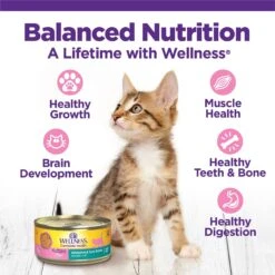 Wellness Complete Health Natural Grain-Free Deboned Chicken & Chicken Meal Dry Kitten Food & Wellness Complete Health Kitten Variety Pack Grain-Free Canned Cat Food, 3-oz, Case Of 12 -PurePet Bites Shop 353443 PT7. AC SS1800 V1639532214