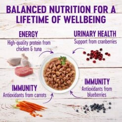 Wellness Healthy Indulgence Gravies Grain-Free Variety Pack Cat Food Pouches & Wellness Kittles Natural Grain-Free Salmon & Cranberries Crunchy Cat Treats -PurePet Bites Shop 353444 PT4. AC SS1800 V1639524409