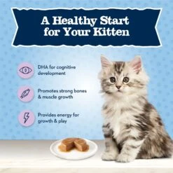 Blue Buffalo Baby Blue Healthy Growth Formula Natural Chicken & Brown Rice Recipe Kitten Dry Food 13 Blue Buffalo Baby Blue Healthy Growth Formula Natural Chicken & Brown Rice Recipe Kitten Dry Food -PurePet Bites Shop 354156 PT3. AC SS1800 V1641338799